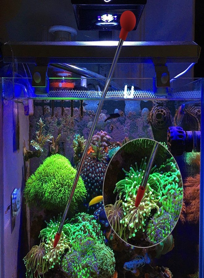 MagTool Aquatic Reef Tank Coral Tube Feeder with Detachable Acrylic Tubes and Feeder Rack for Precise Feeding and Tank Cleaning - Image 4
